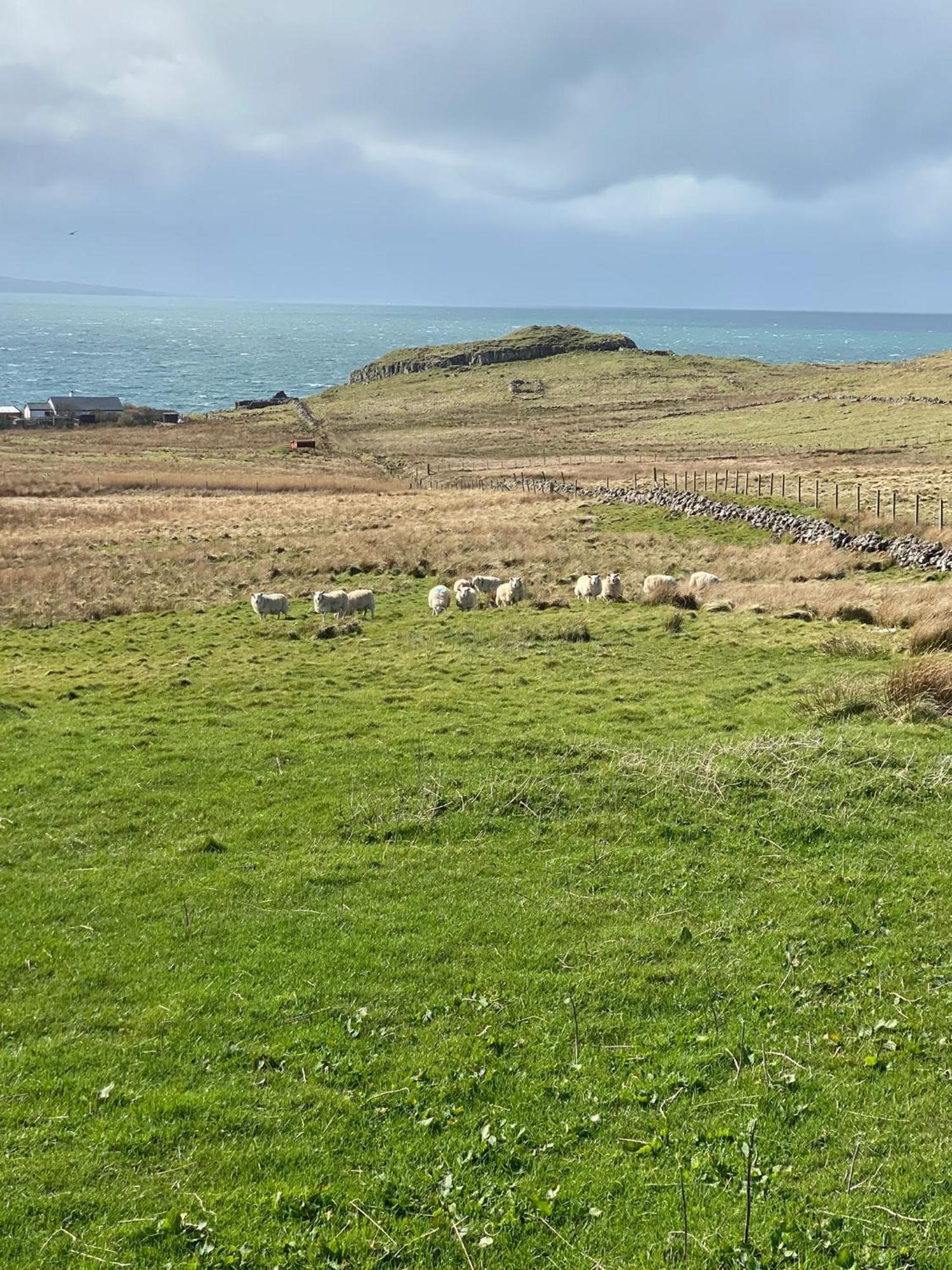 Cnoc Ruaraidh Cottage Kilmuir  Exterior photo